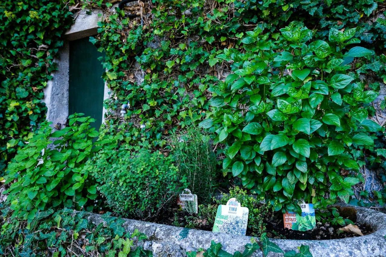 Villa Gina Varenna Luaran gambar